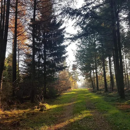 Holiday home 6 Person In Toftlund-by Traum *