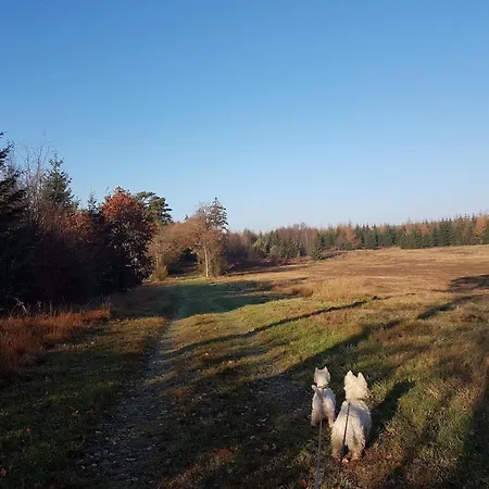 6 Person In Toftlund-by Traum Vestergard