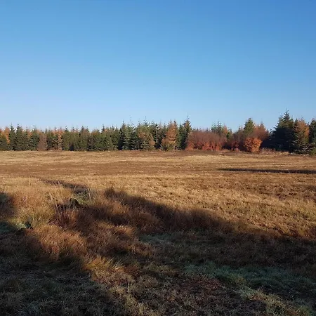 6 Person In Toftlund-by Traum