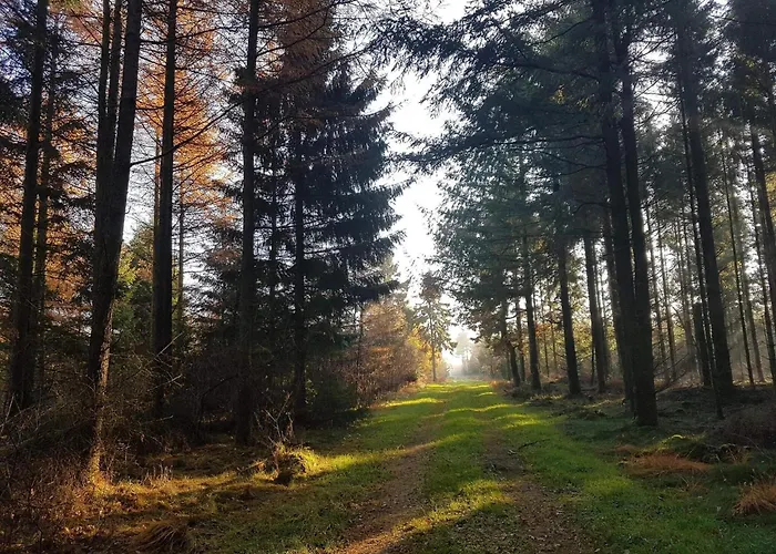 Feriehus 6 Person In Toftlund-by Traum *