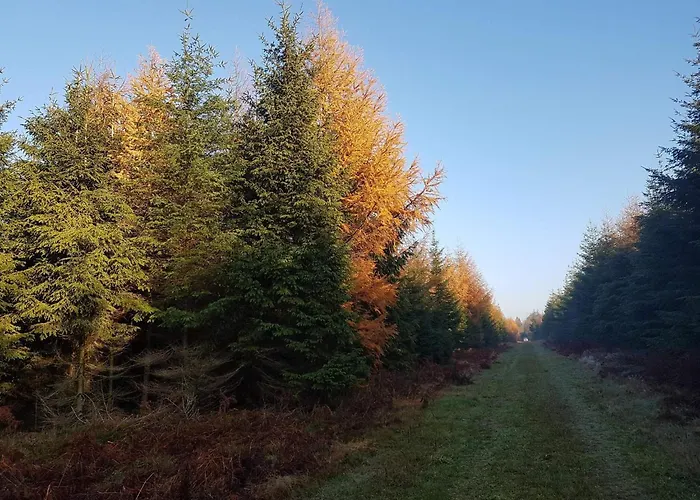 Feriehus 6 Person In Toftlund-by Traum *