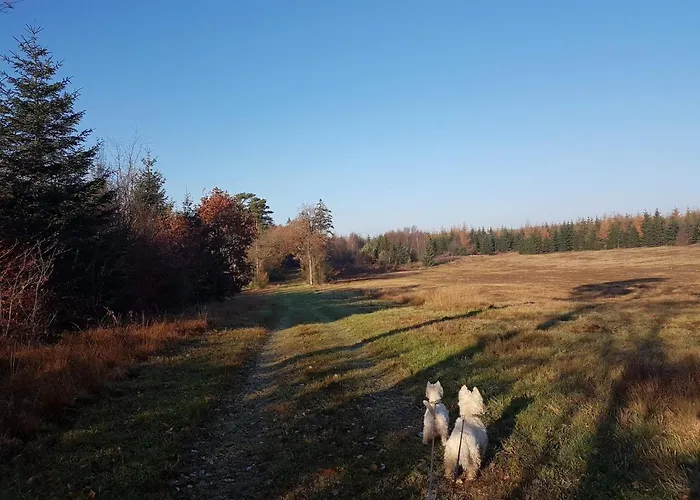 6 Person In Toftlund-by Traum Vestergård