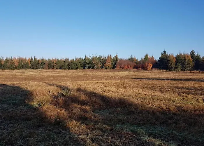 6 Person In Toftlund-by Traum